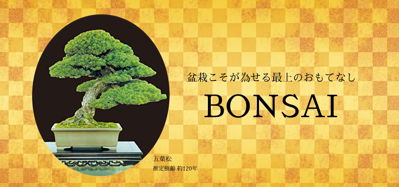 盆栽こそが為せる最上のおもてなし BONSAI