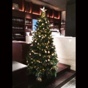 季節の商品_クリスマスツリー